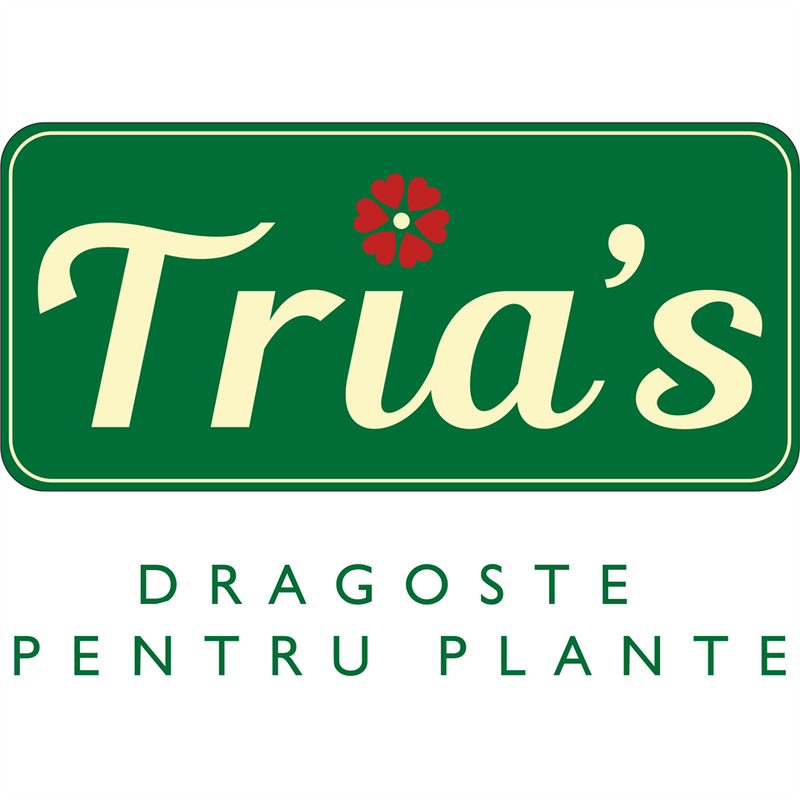 Operator comenzi online Floraria Tria's